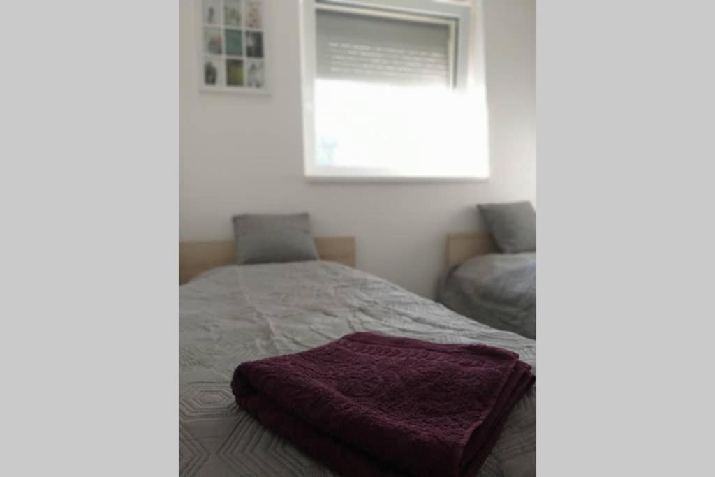 Toelgyerdo Apartman Kismaros Εξωτερικό φωτογραφία