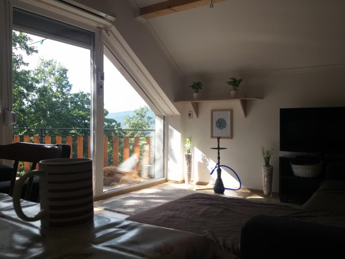 Toelgyerdo Apartman Kismaros Εξωτερικό φωτογραφία