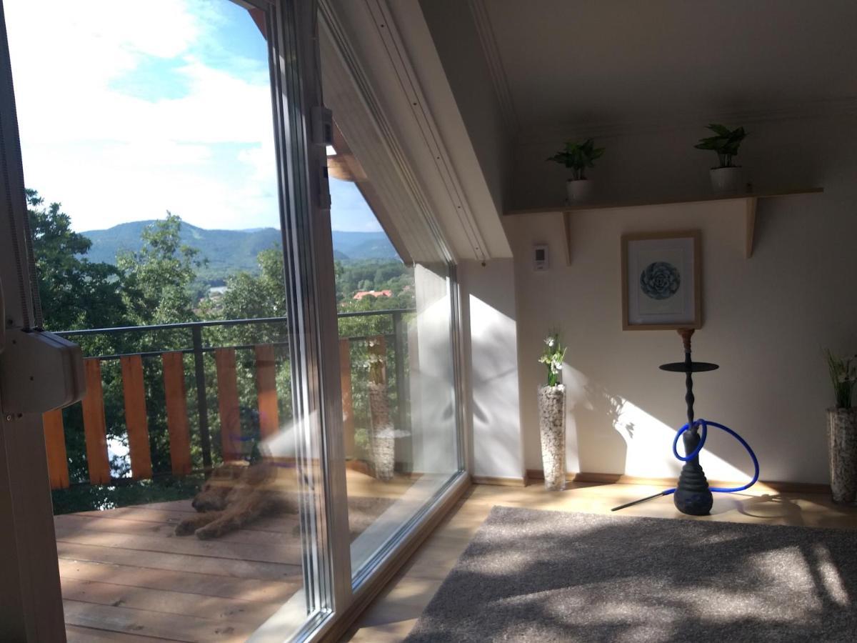 Toelgyerdo Apartman Kismaros Εξωτερικό φωτογραφία