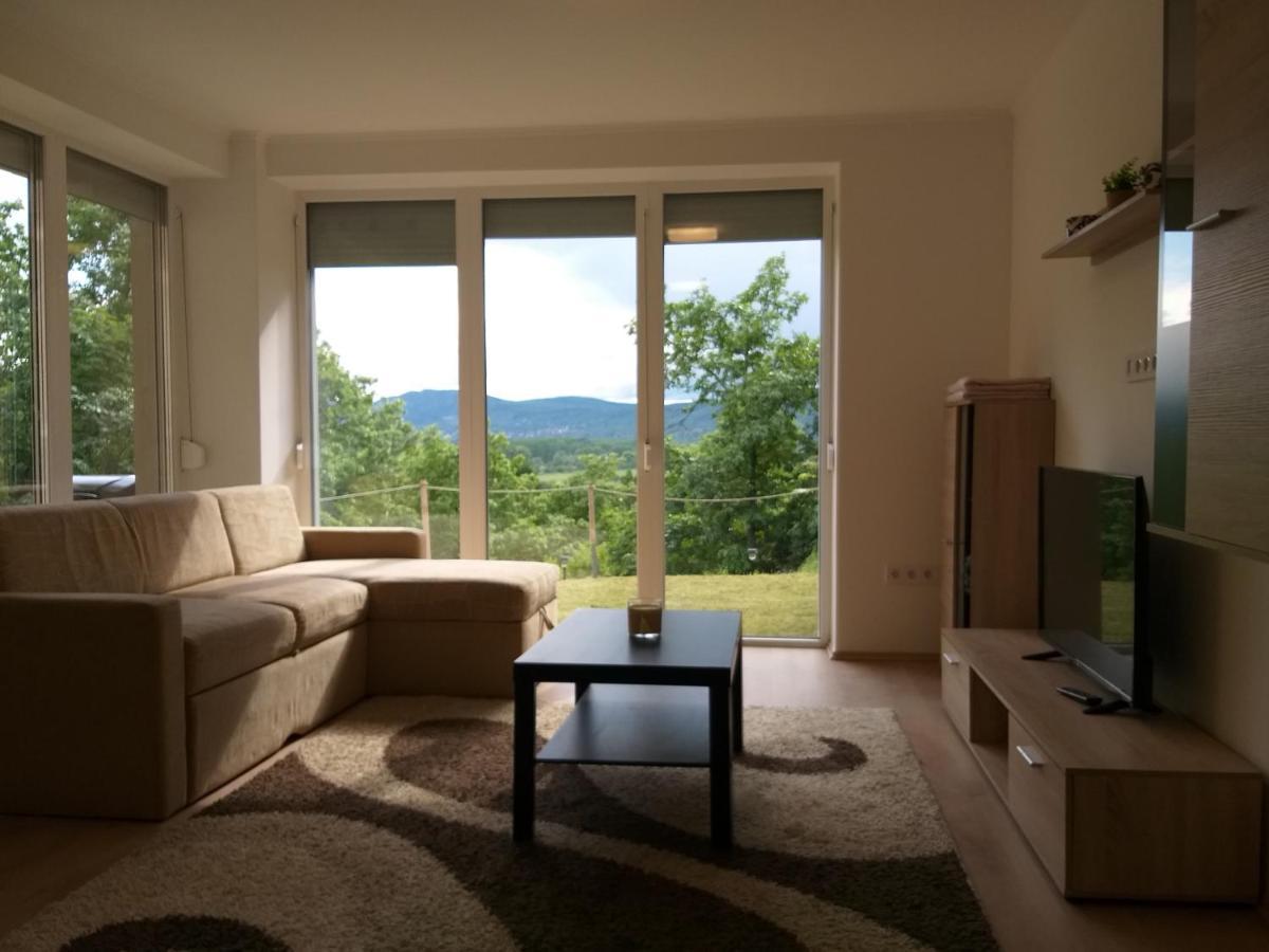 Toelgyerdo Apartman Kismaros Εξωτερικό φωτογραφία